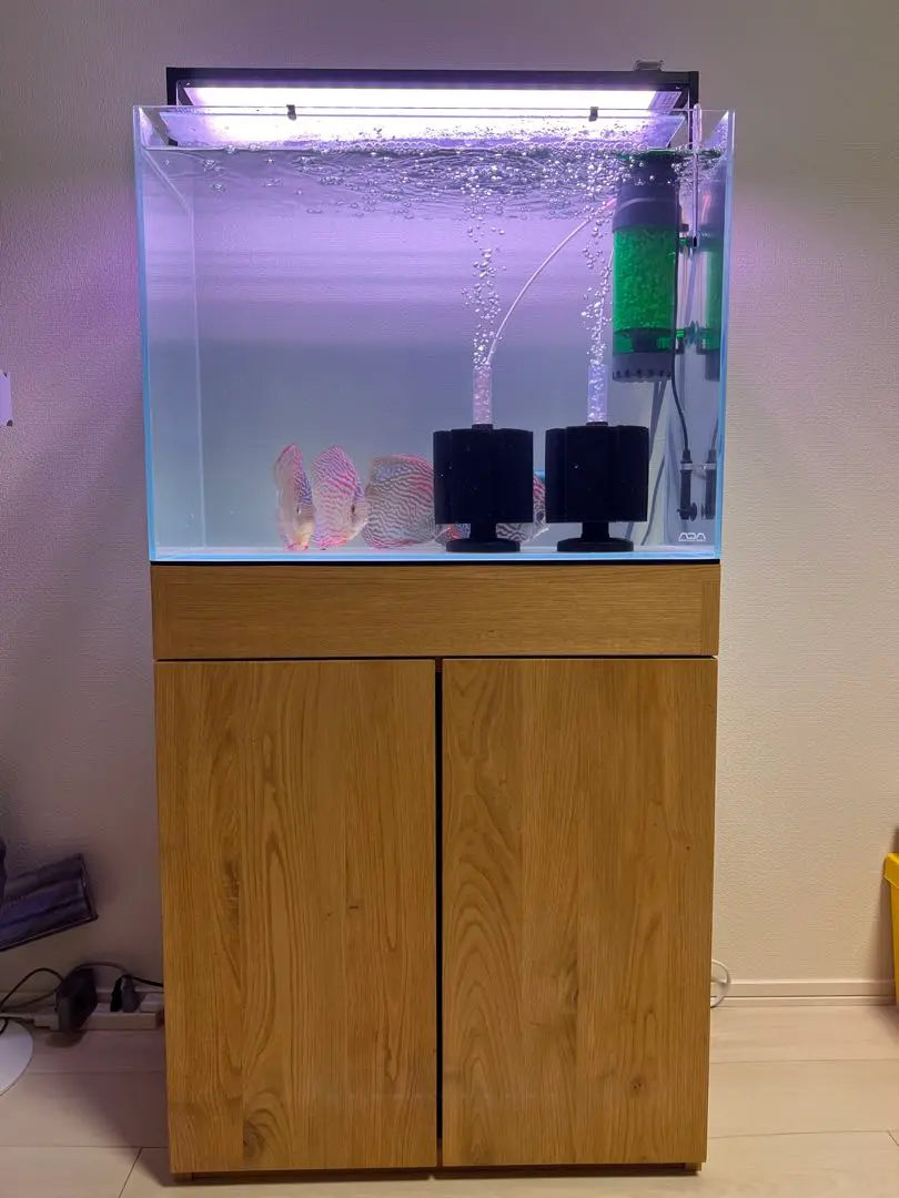 2026年最新】ada キューブキャビネットの人気アイテム - メルカリ