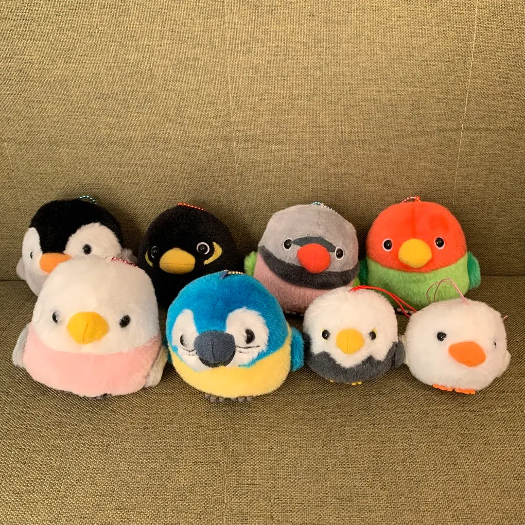 2026年最新】ことり隊 インコの人気アイテム - メルカリ