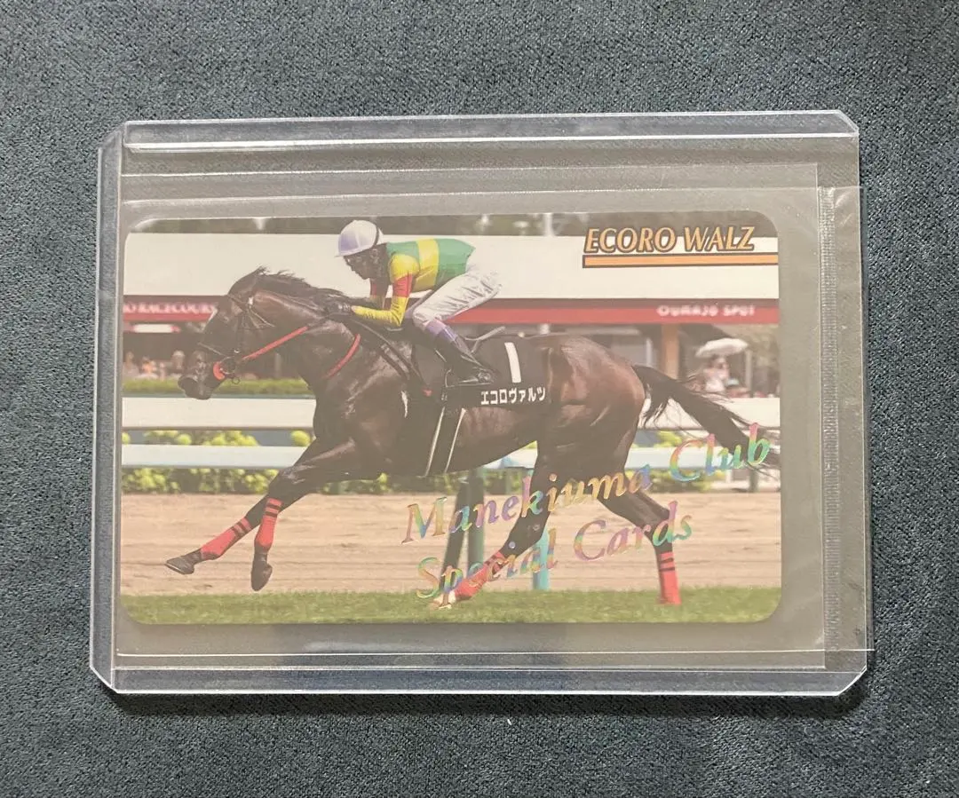 2026年最新】まねき馬倶楽部 レインボーの人気アイテム - メルカリ