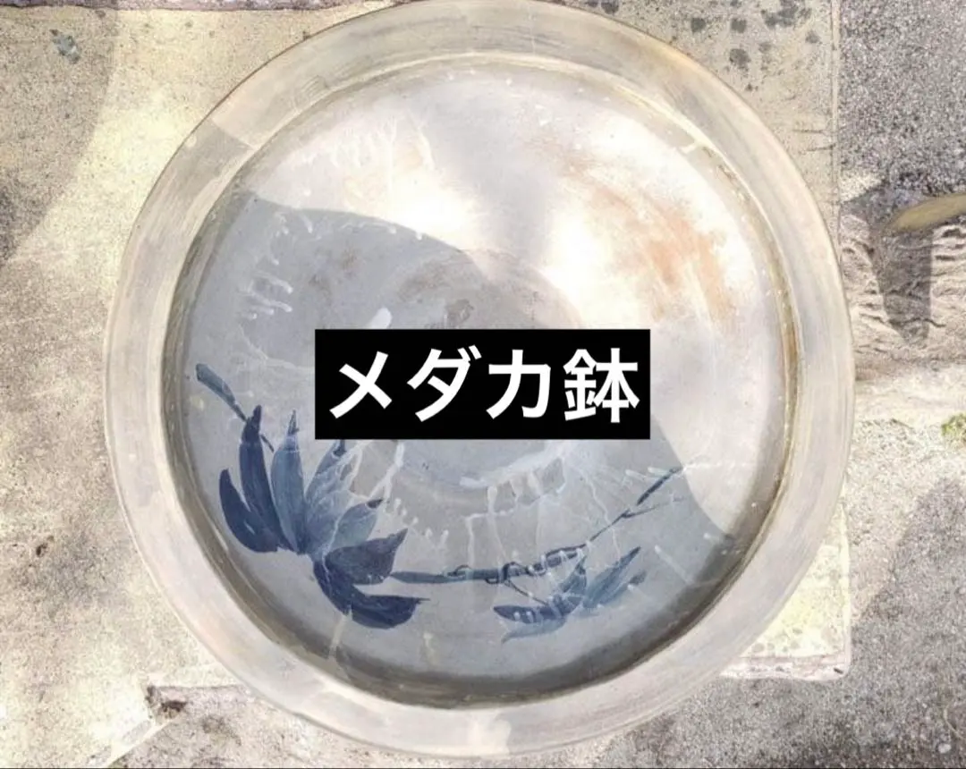 2026年最新】中野行山の人気アイテム - メルカリ