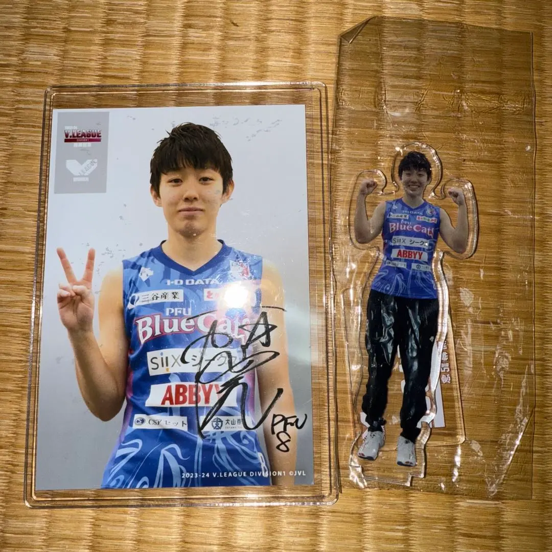 2026年最新】群馬グリーンウイングスの人気アイテム - メルカリ