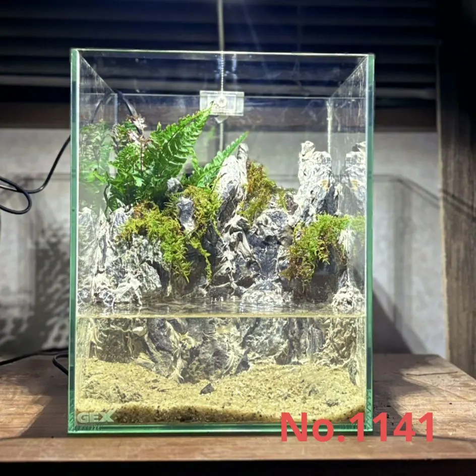 アクアテラリウム水槽アルバム その4 30cmキューブ滝のあるアクア