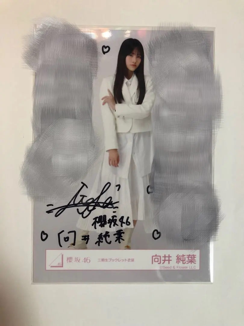 2026年最新】向井純葉 直筆サインの人気アイテム - メルカリ