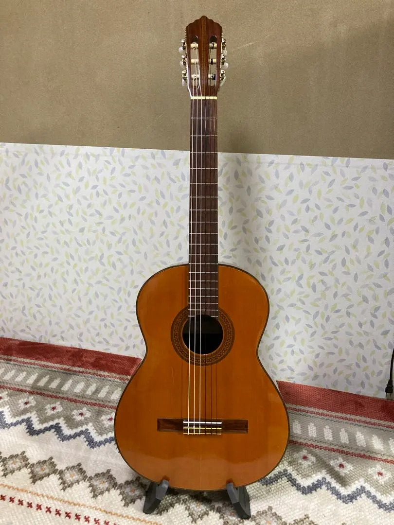 2026年最新】SHINANO GUITARの人気アイテム - メルカリ