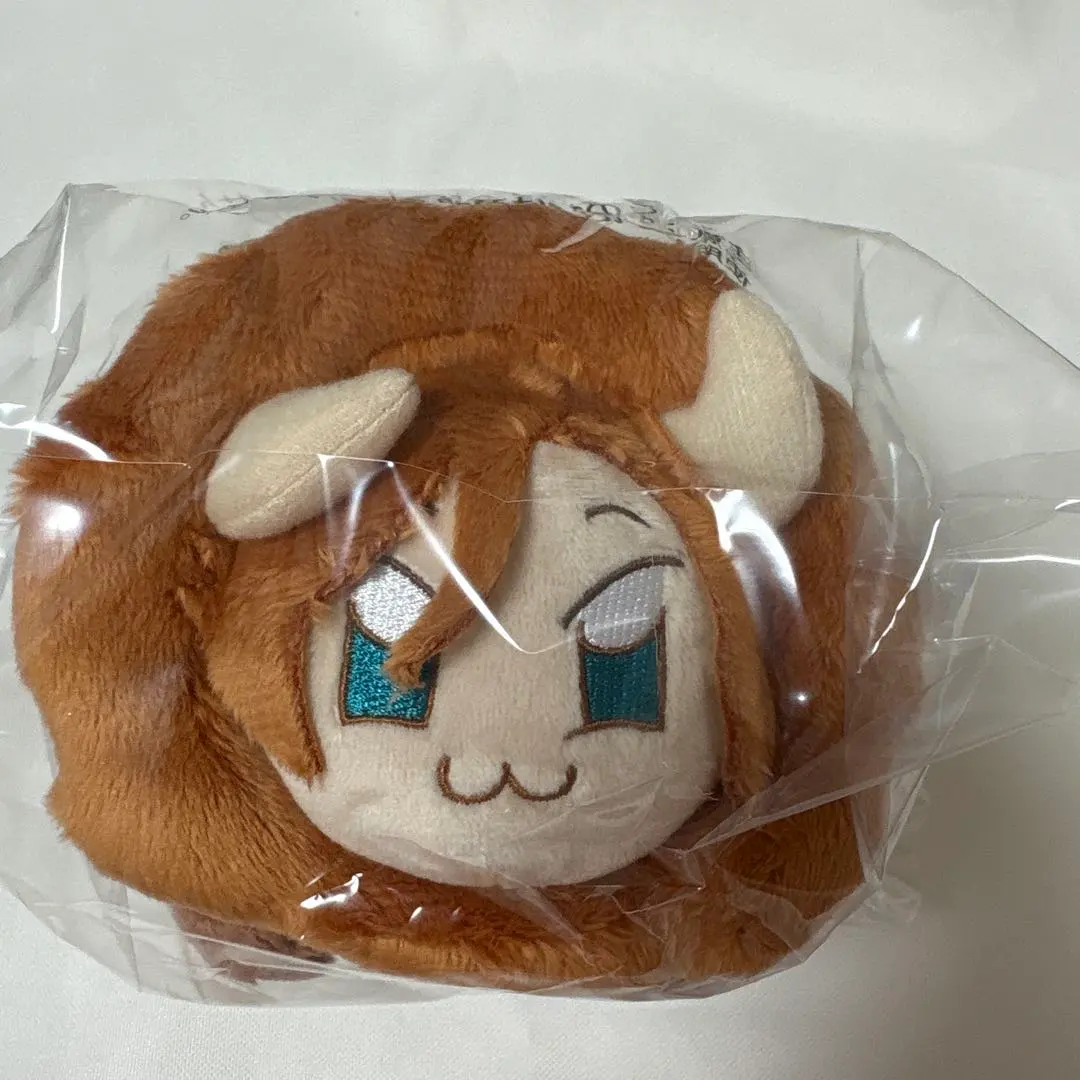 2026年最新】三毛縞斑 いつぬいの人気アイテム - メルカリ