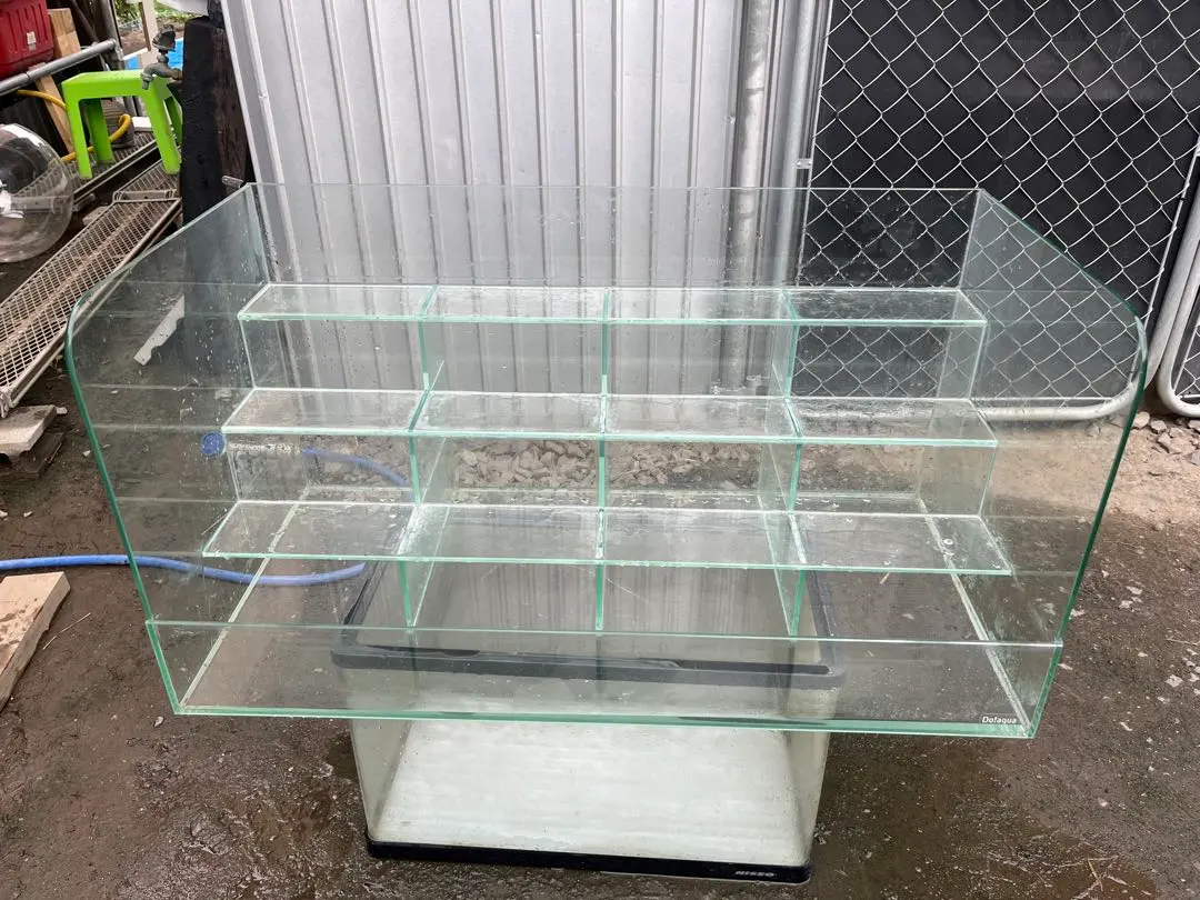 m97944589418_1.jpg?1757824723