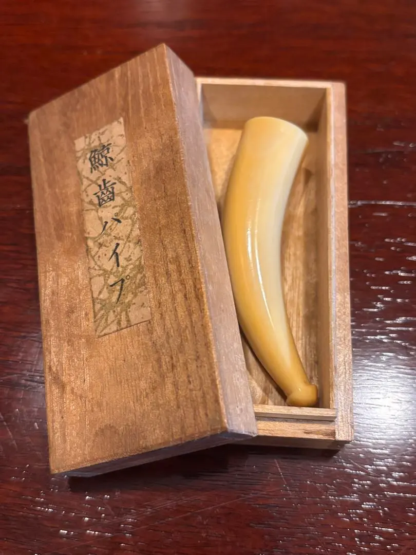 2026年最新】鯨歯 パイプの人気アイテム - メルカリ