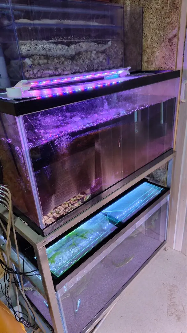 2026年最新】90 水槽台 ニッソーの人気アイテム - メルカリ