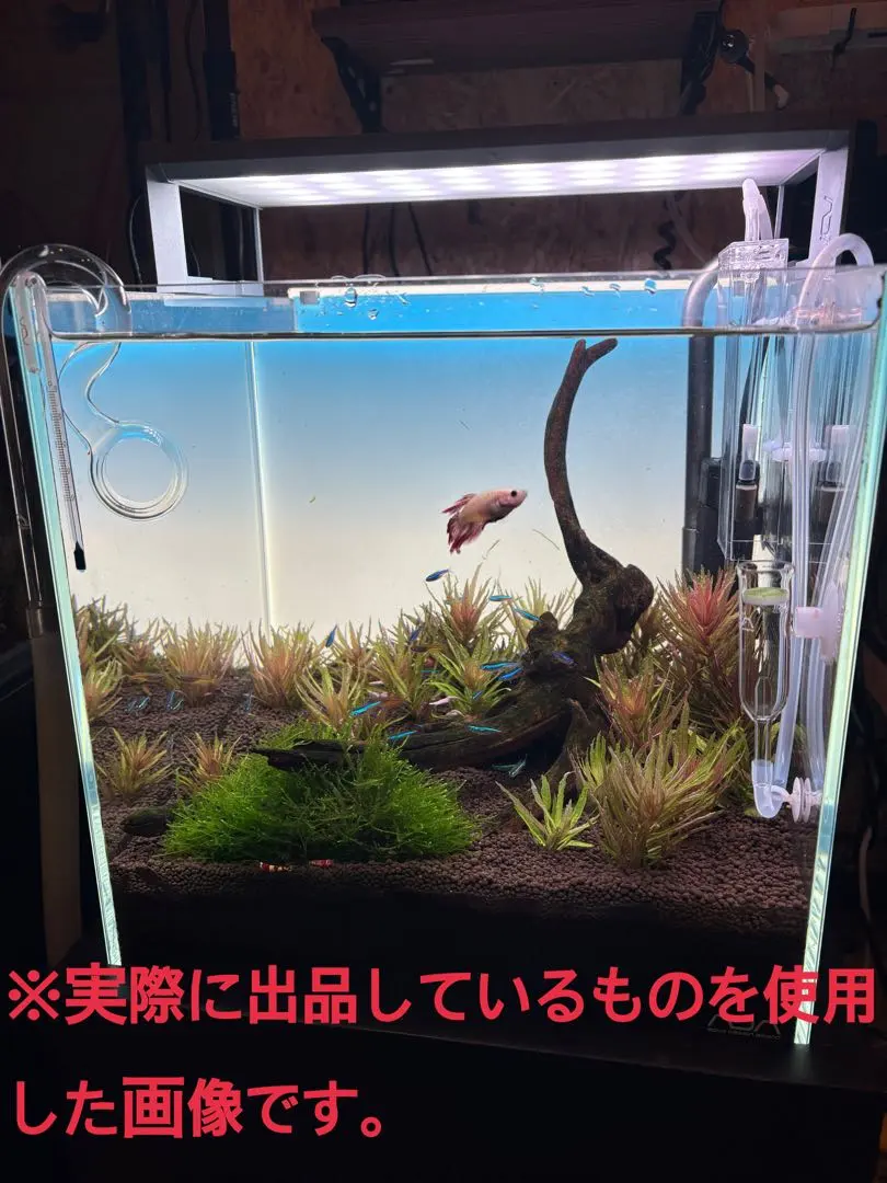 2026年最新】ライトスクリーン adaの人気アイテム - メルカリ