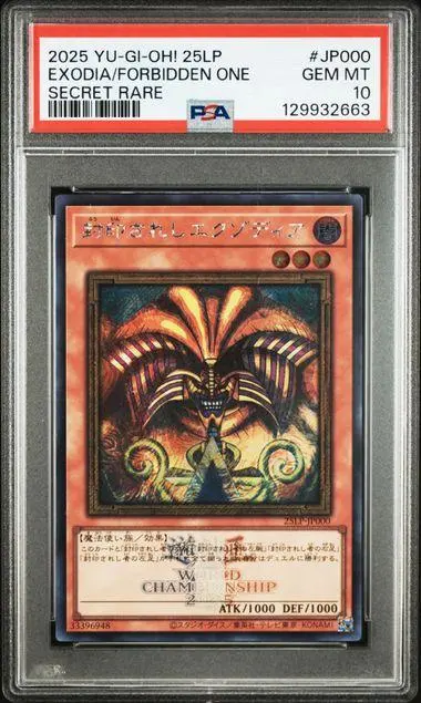 m98663006263_1.jpg?1768041531