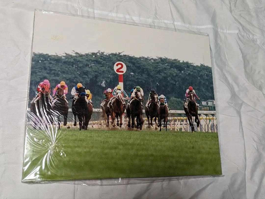 2026年最新】写真パネル 競馬の人気アイテム - メルカリ