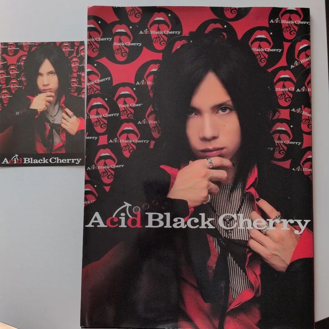 2026年最新】Acid Black Cherry写真集の人気アイテム - メルカリ