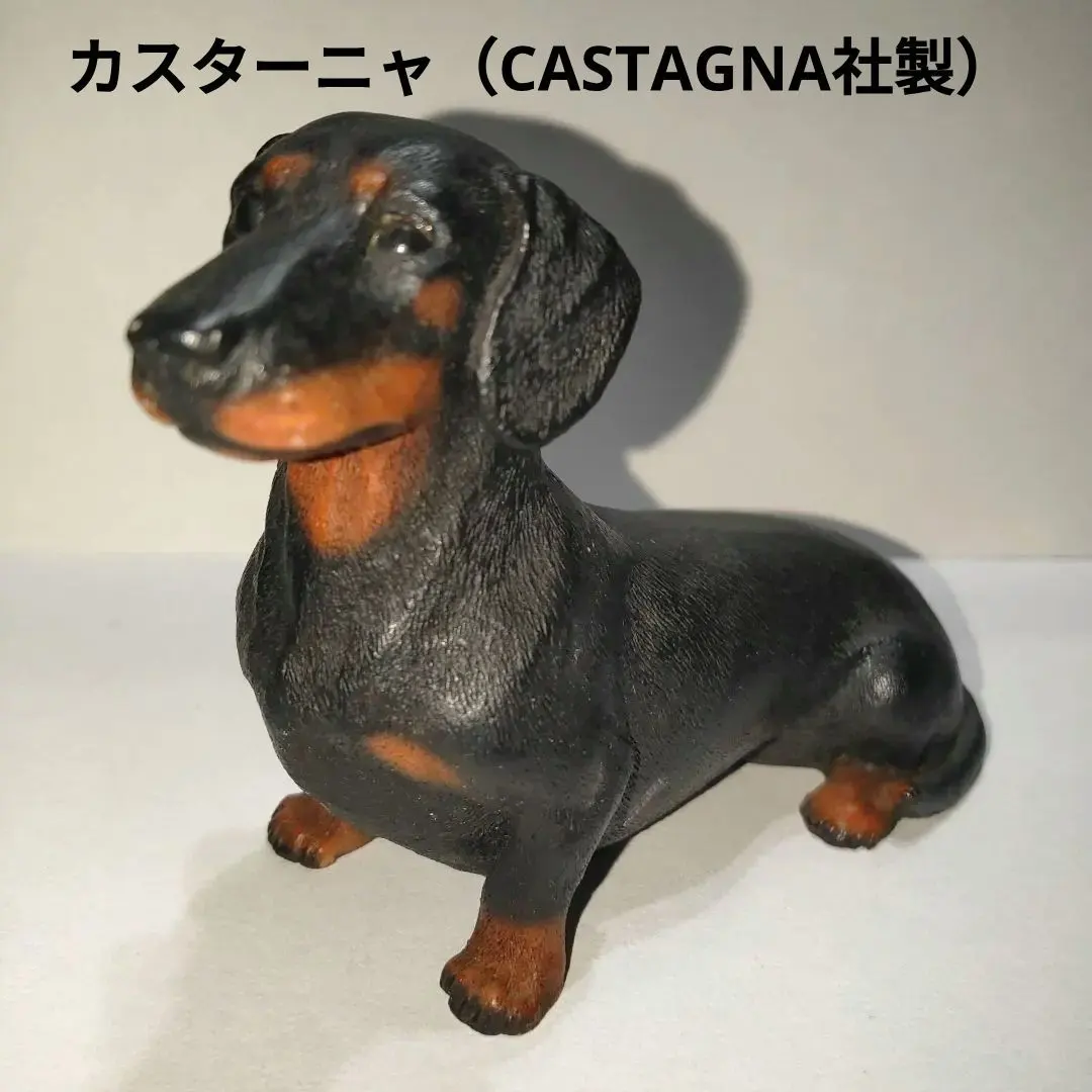 2026年最新】カスターニャ 犬の人気アイテム - メルカリ