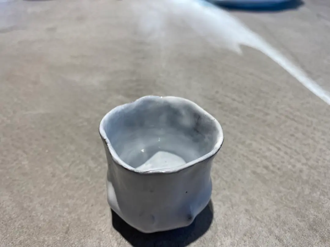 キャロンcarronドッグフードボウル犬用食器 アスティエ 2025年最新