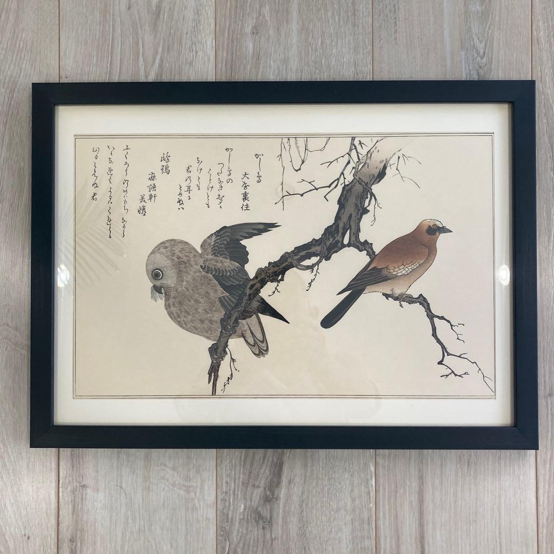 喜多川歌麿 『百千鳥 かし鳥に鴟鶉』手摺木版画 悠々洞