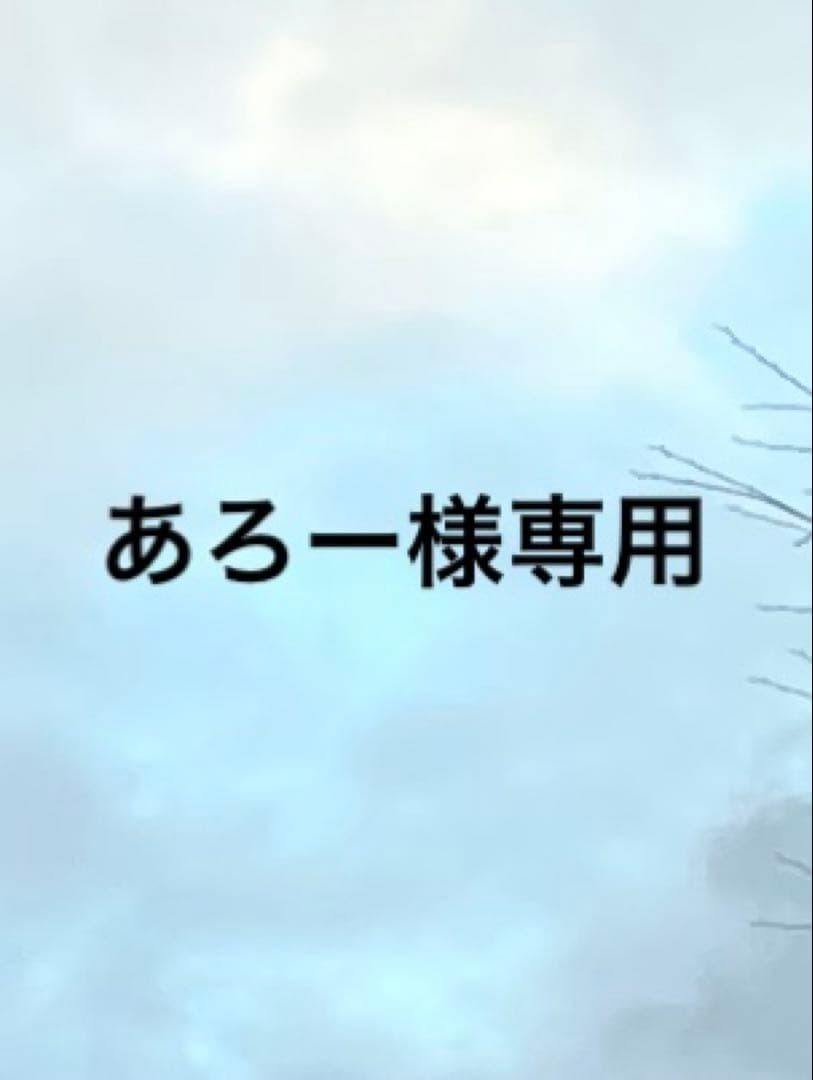 あろー Arrow KAWASAKI ZX-6R 636 2013 -2020 フルエキゾーストマフラ