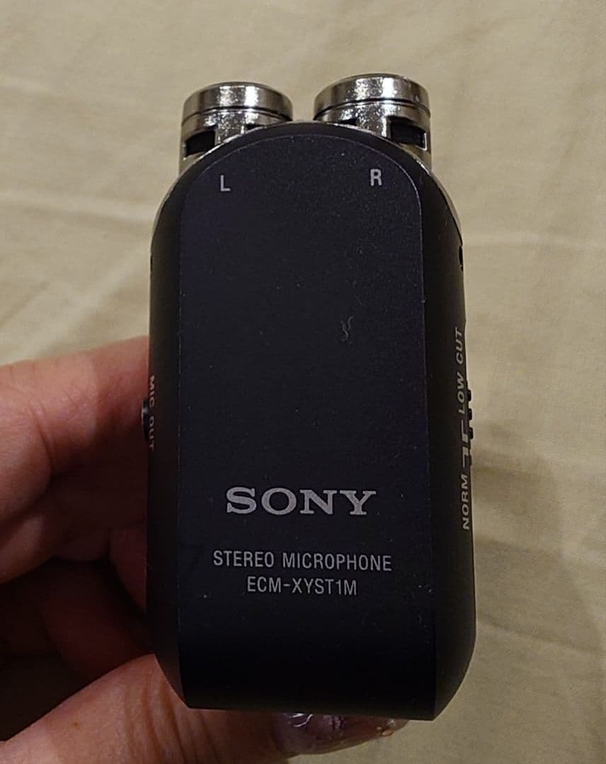 【bobo】SONY 4K ハンディカム FAR-AX45 マイク・SD