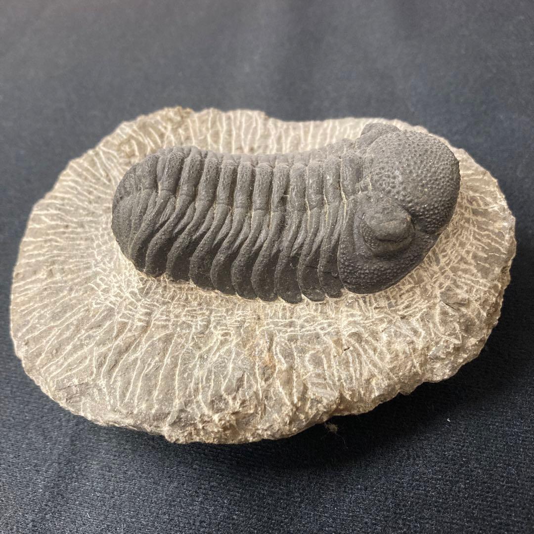 AKa5867楽焼煙草盆