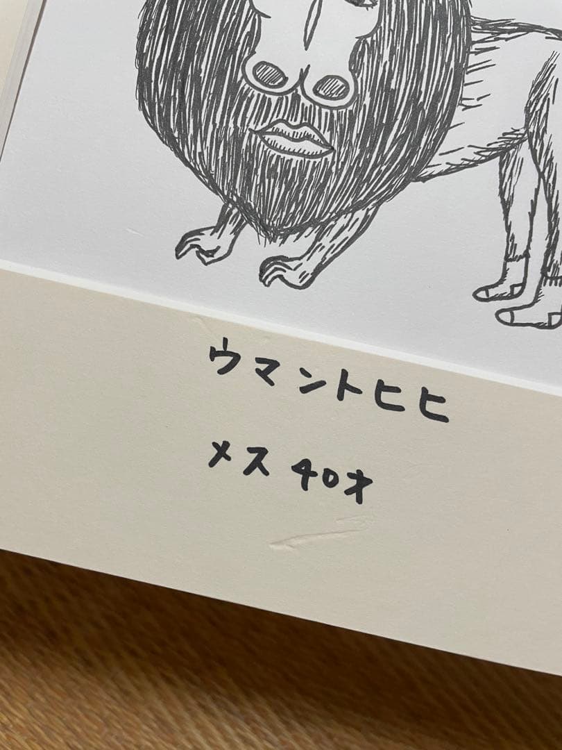 【シャンプーハット小出水　こいちゃん　恋さん】ウマントヒヒ 原画イラスト