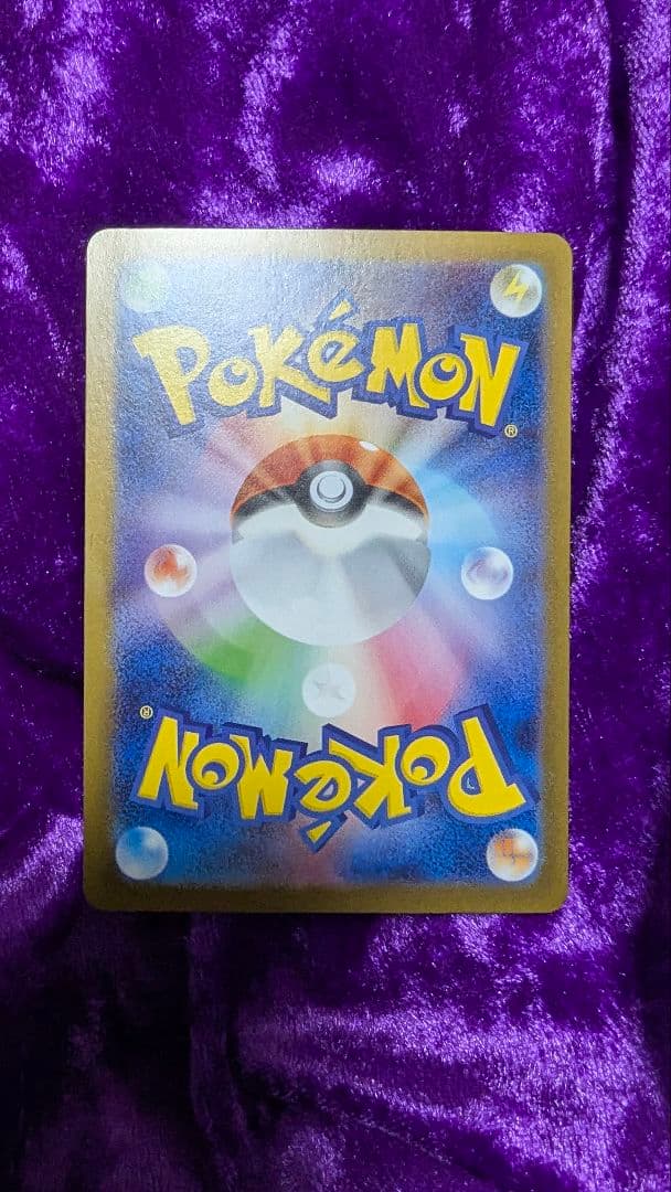 ブラッキーex SAR テラスタルフェスex