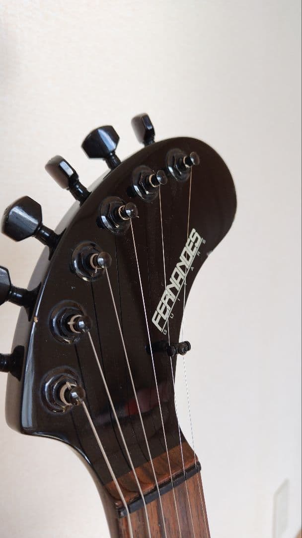 FERNANDES DIGI-ZO HYPER スカル