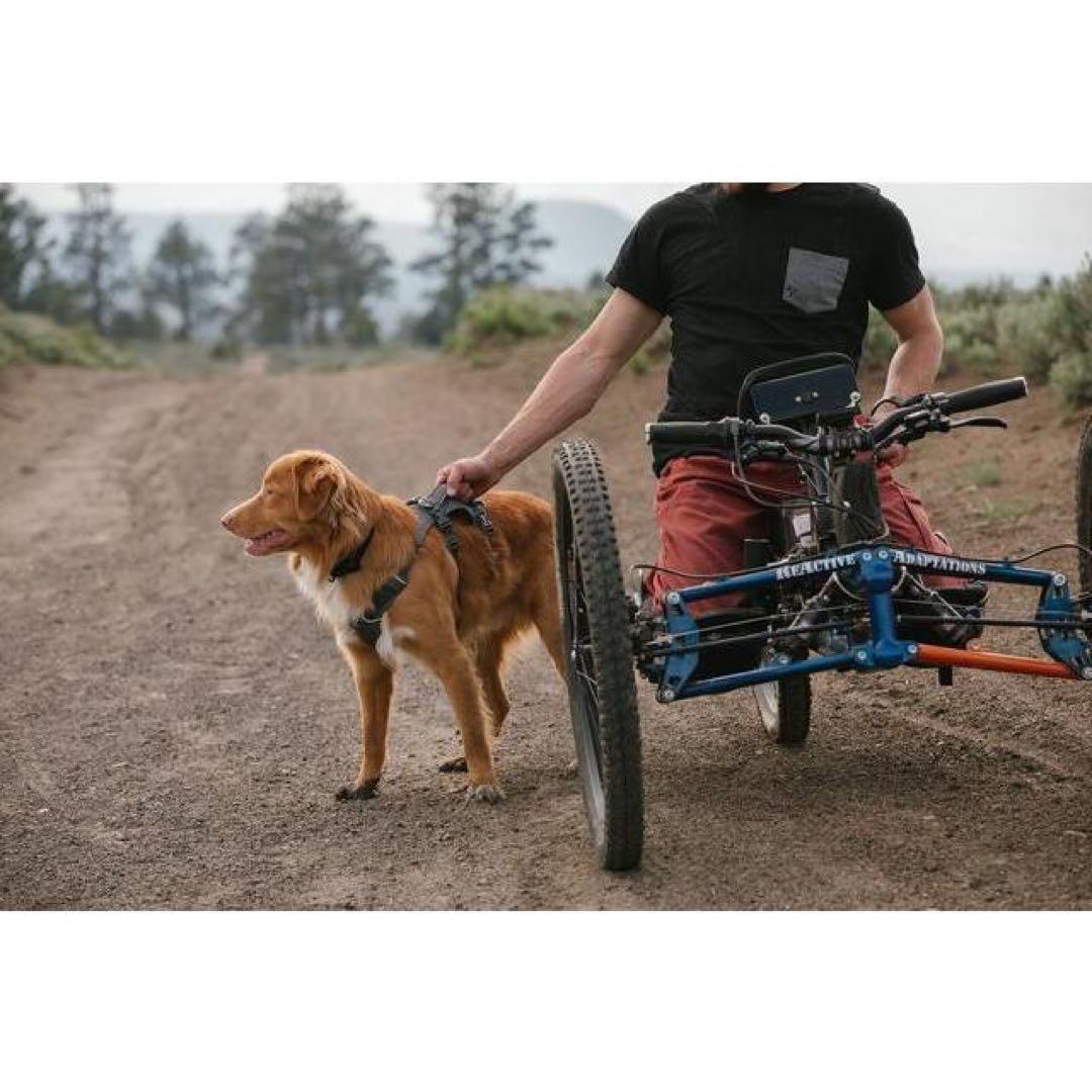 未使用】ruffwear ハーネス グレー 胸囲56〜69cm - メルカリ