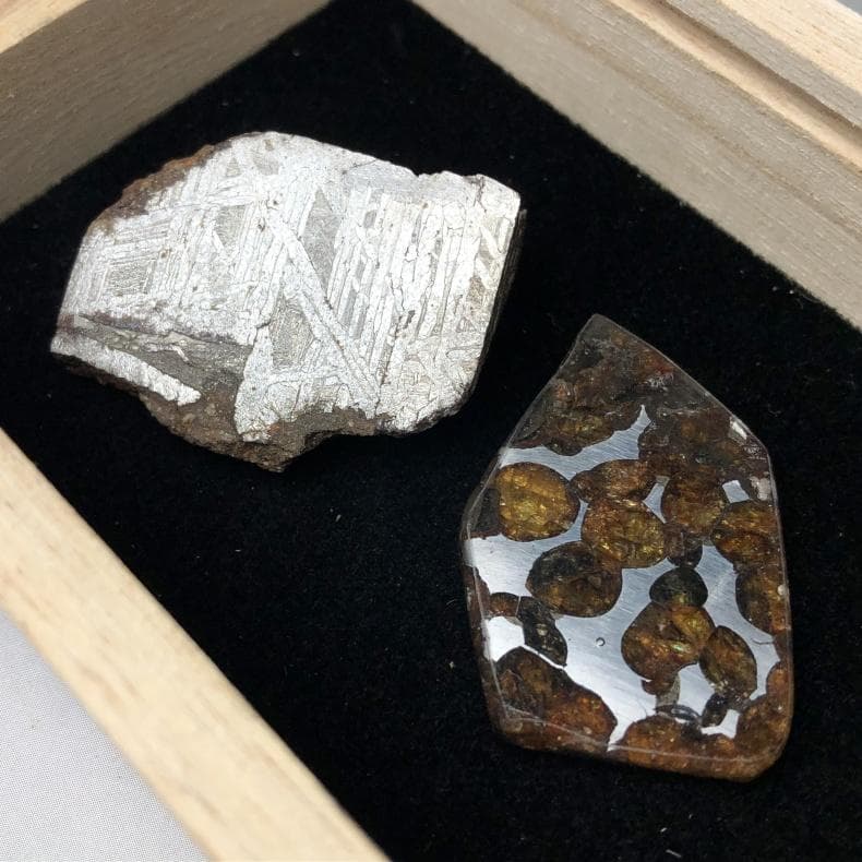 ｎ*＊様 隕石 アルタイ隕石　原皮付き　石鉄隕石　パラサイト隕石　２点　重さ52 n*＊様 隕石 アルタイ隕石 原皮付き 石鉄隕石 パラサイト隕石 2点