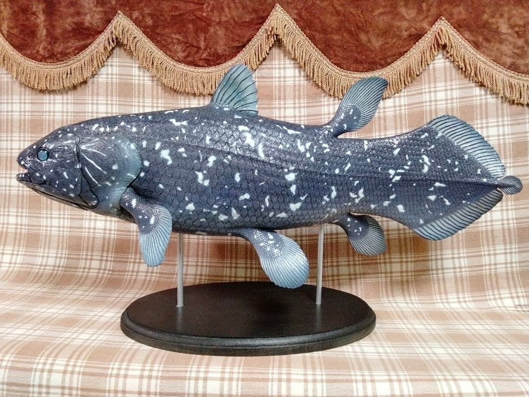 ハンドメイド 61cmシーラカンス フィギュア レプリカ オブジェ 化石魚