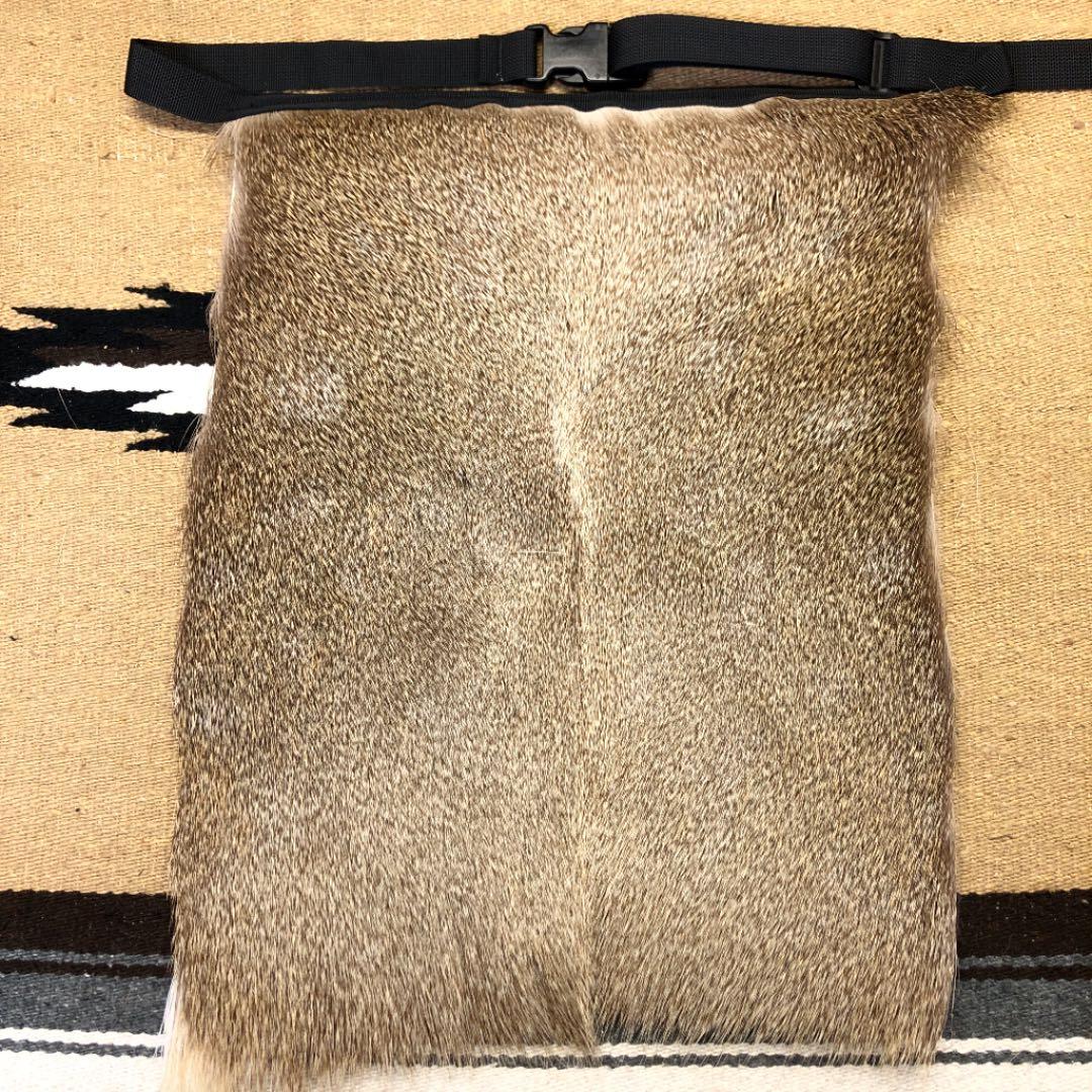 1946年パリ◇ディズニー ディンゴとドナルド オリンピックチャンピオン