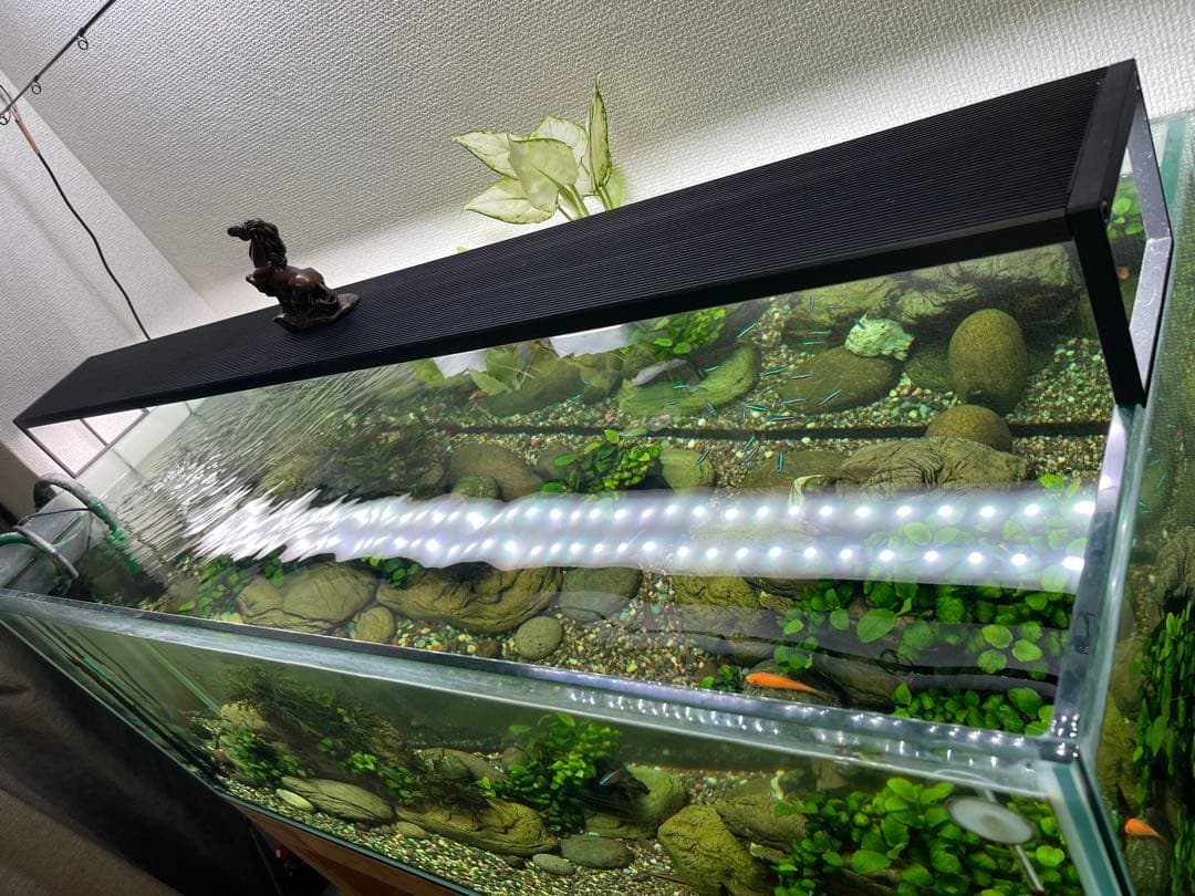 WRGB II SLIM120 LED水草ライト 90W