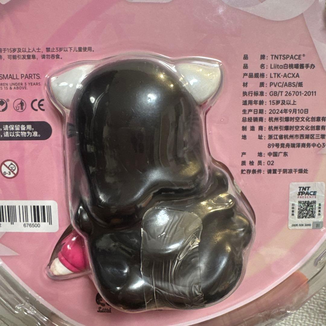 TNTSPACE Liita リイタ 透明パッケージ 吊卡 レア - メルカリ