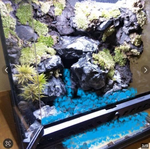 受注生産】イモリウム アクアテラリウム グラステラリウム