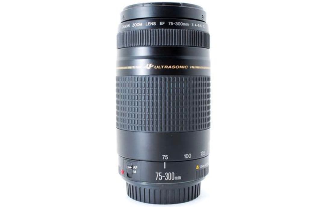 11月29日限定特価♪【超望遠レンズ】Canon EF 75-300mm Ⅱ