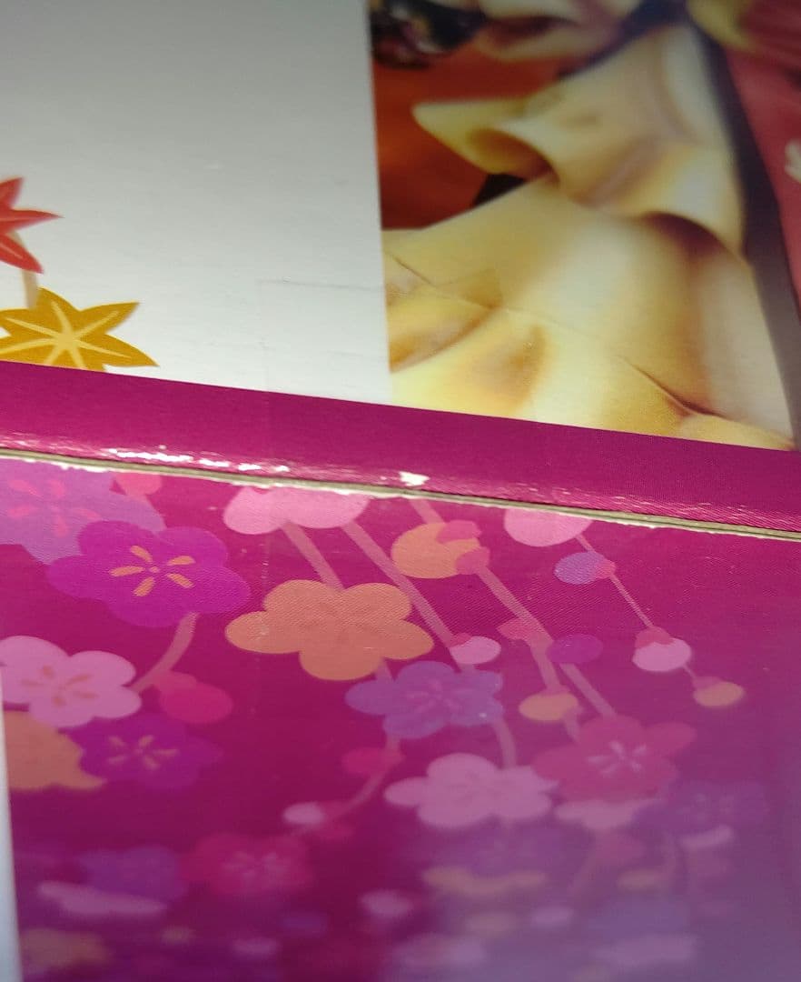 ≪ゲーム≫東方Project 幻想の境界 八雲紫 道士服版 イベント限定Ver.