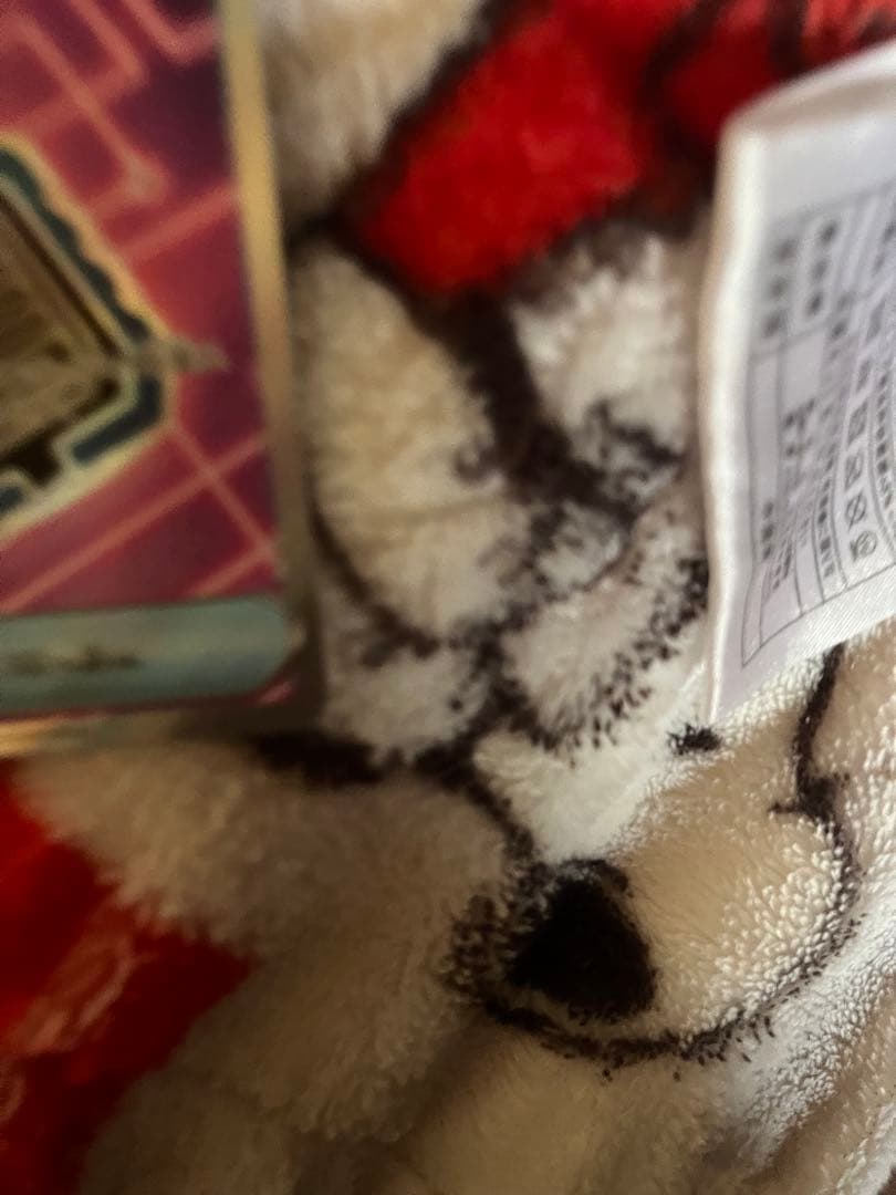 ポケモンカード ハイクラスMEGAドリームex コレクション6枚セット