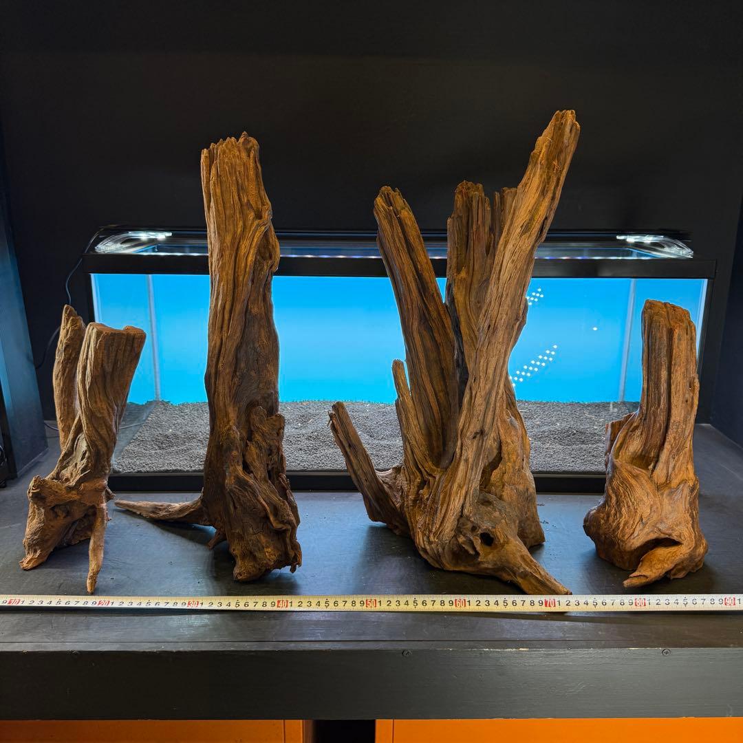 MRW-6798 赤系流木4本セット 90cm水槽用 切株 一点物 アクアリウム
