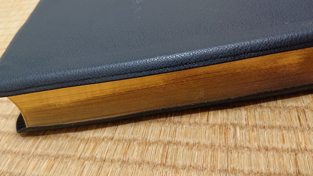 文語訳聖書 舊新約聖書 革装 三方金 大型