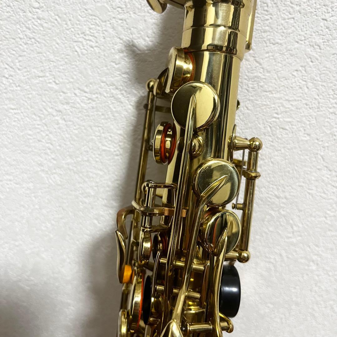 Kaerntner ケルントナー アルトサックス KAL-62 彫刻入り ハード