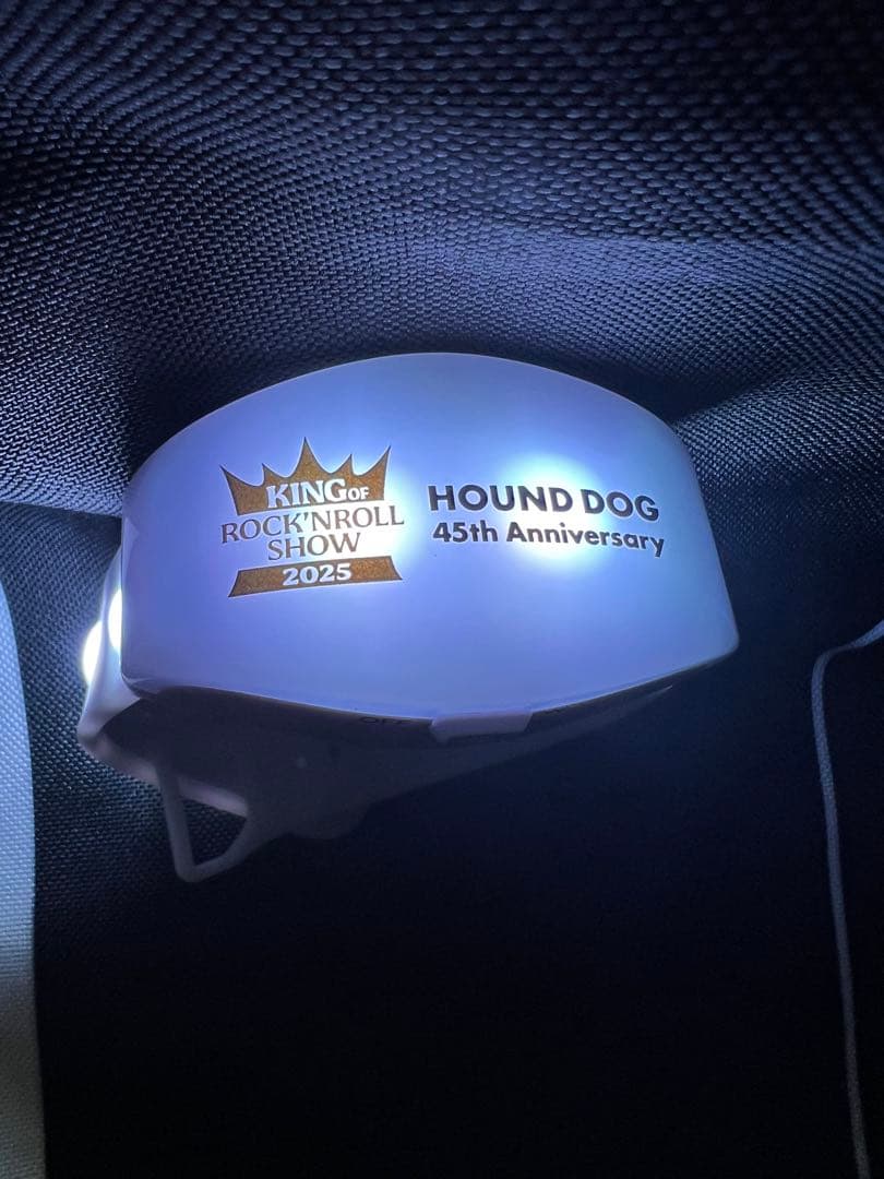 ハウンドドッグ 大友 康平 45周年ライブグッズ - メルカリ