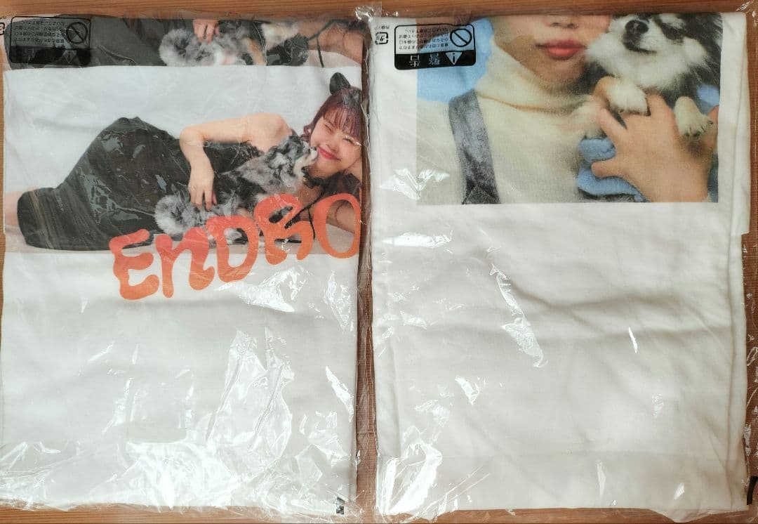 アイナ・ジ・エンド ロングTシャツ 2点 武道館 LINE CUBE