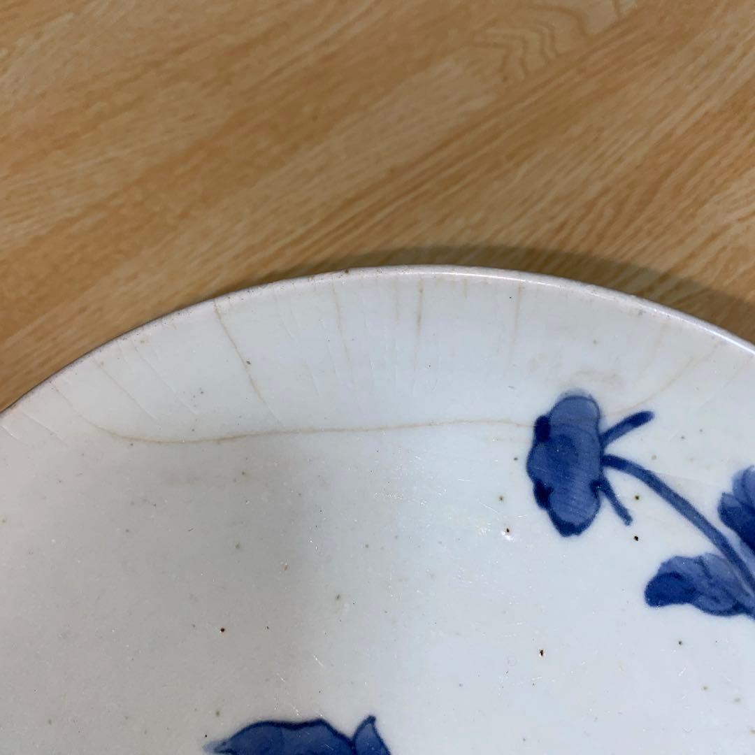 古染付 藍柿右衛門 唐獅子牡丹紋皿 江戸1670頃