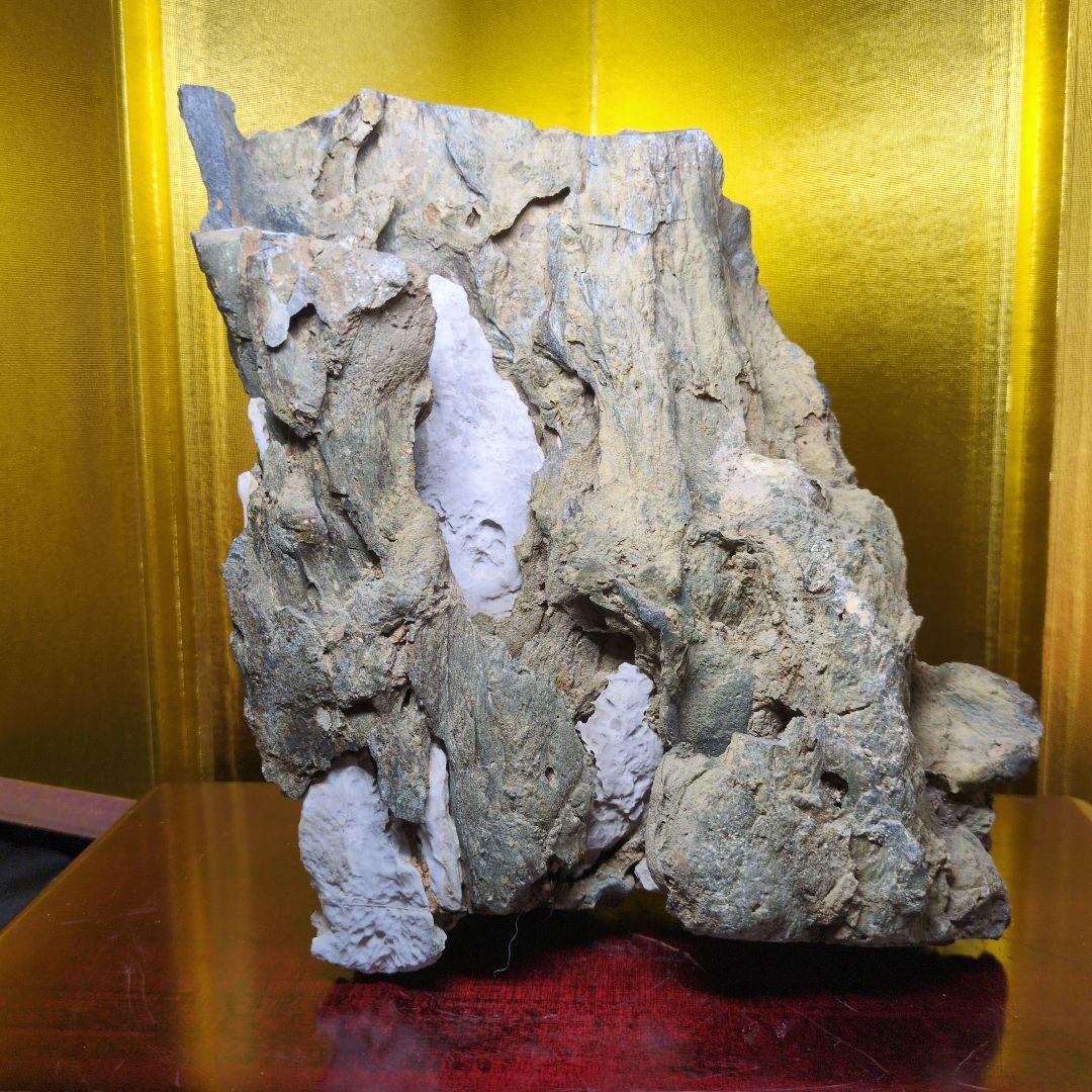 木化石 珪化木 天然石 約2.9kg 鑑賞石 水石 自然石 希少 レア