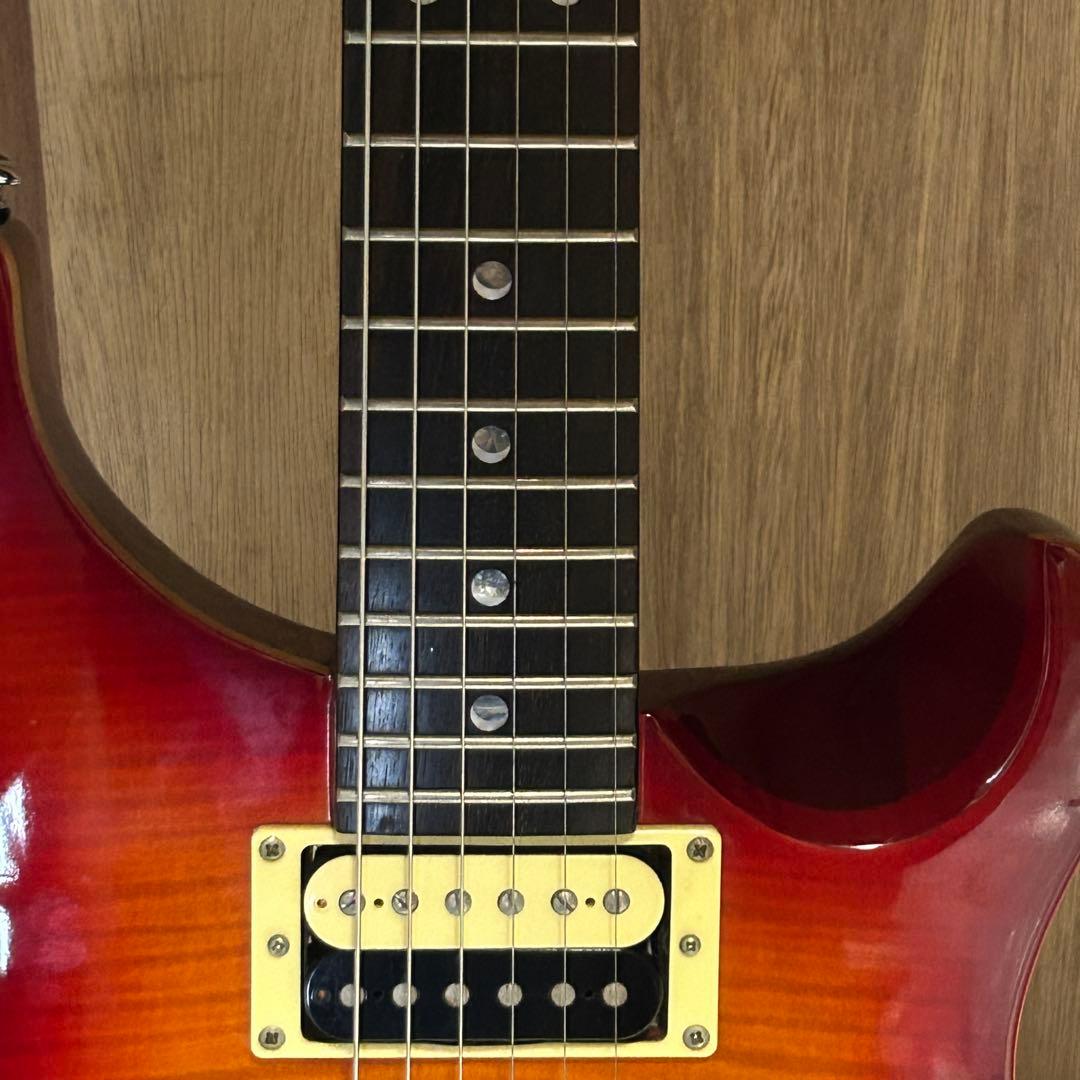 こた様専用 PRS SE Custom 24フラットトップ サンバースト - メルカリ
