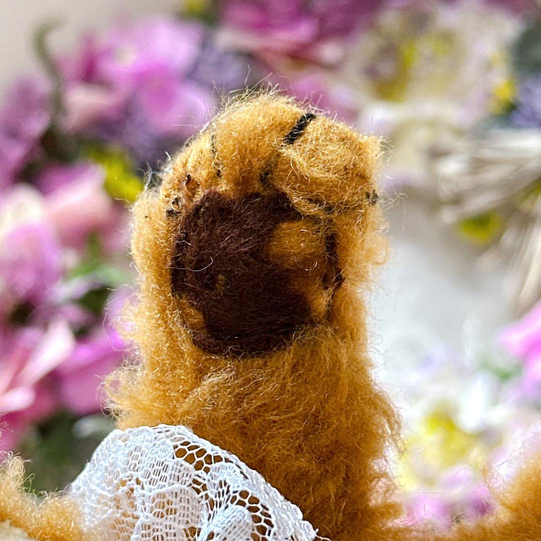 ✨レア✨❤️オレンジブラウンのちびチーキー❤️メリーソート