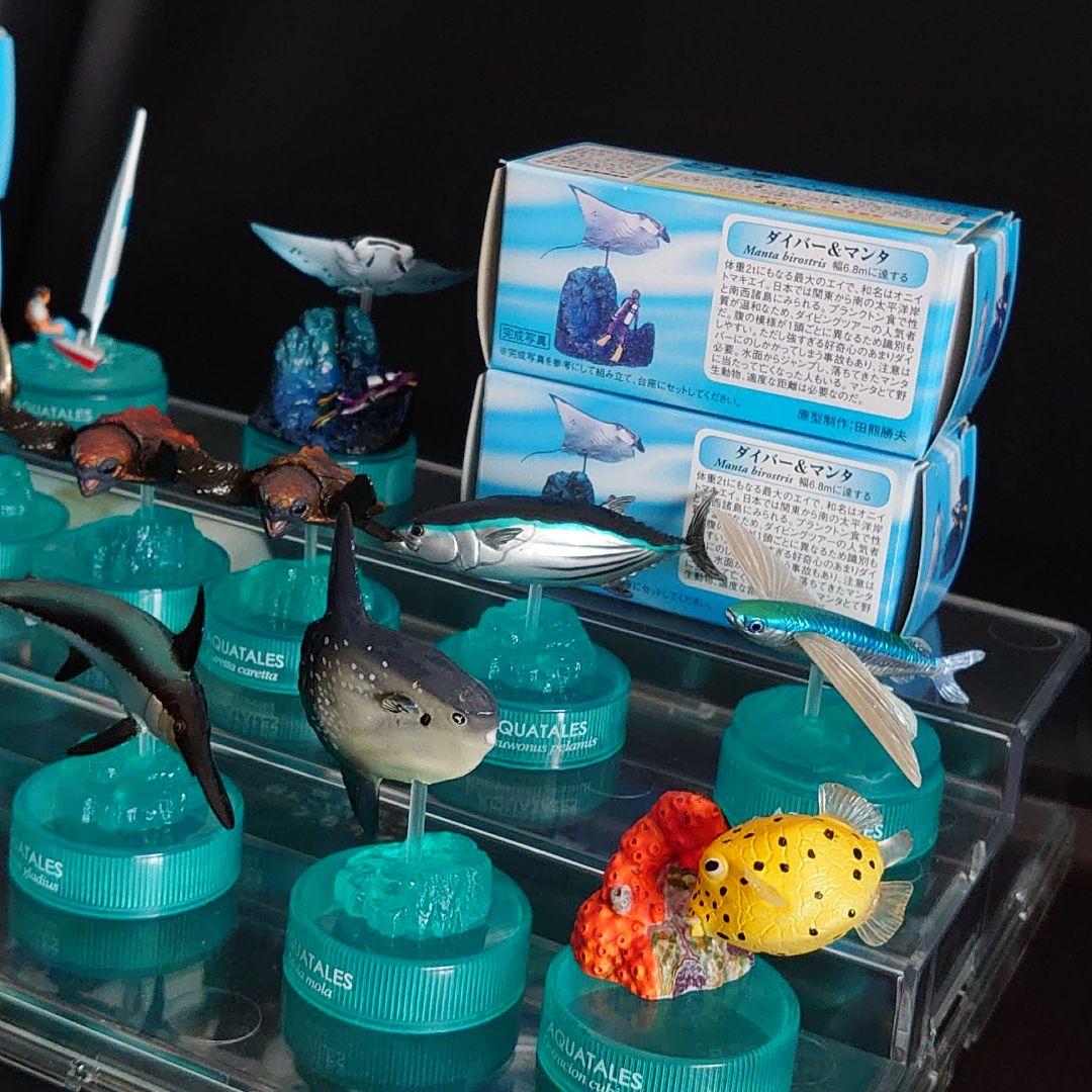 海洋堂 アクアテイルズ 黒潮の魚たち glico