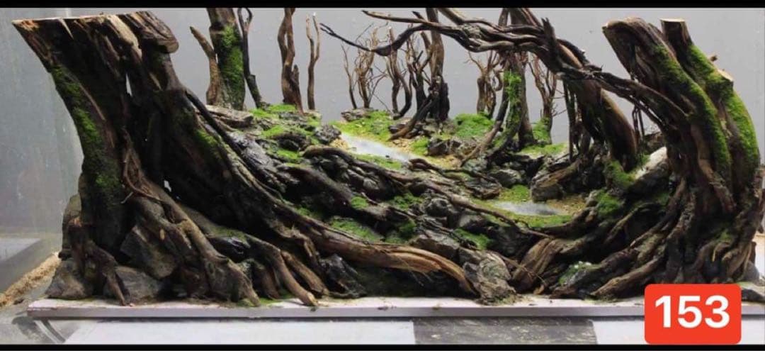 水槽用流木 流木 ブランチウッド 。アクアリウム パルダリウム