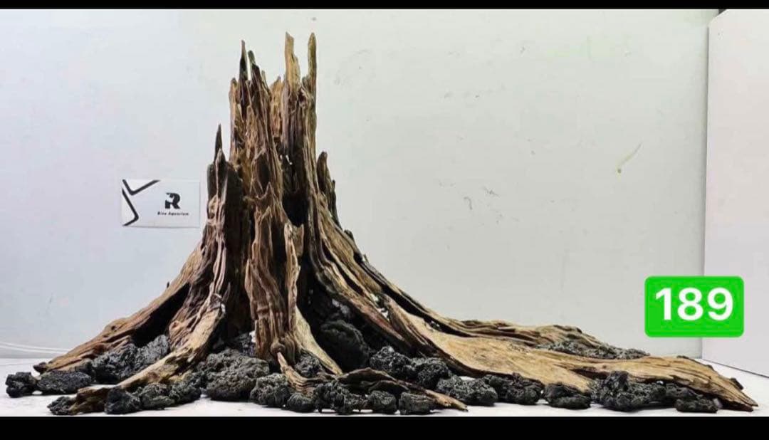 水槽用流木 流木 ブランチウッド 。アクアリウム パルダリウム