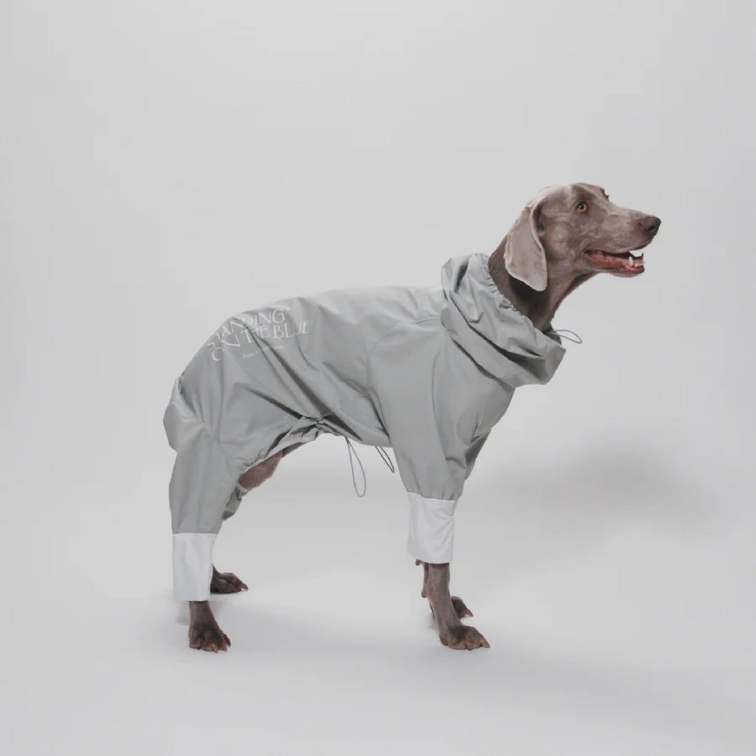 パンダのパン 様 ペット用 補助 スロープ ☆完成品☆