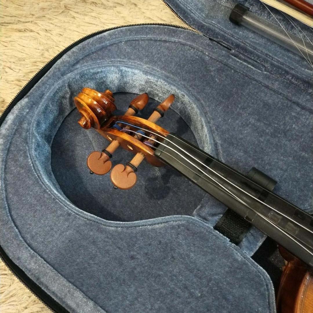 カルロジョルダーノ バイオリン VS-2 4/4　ケース付