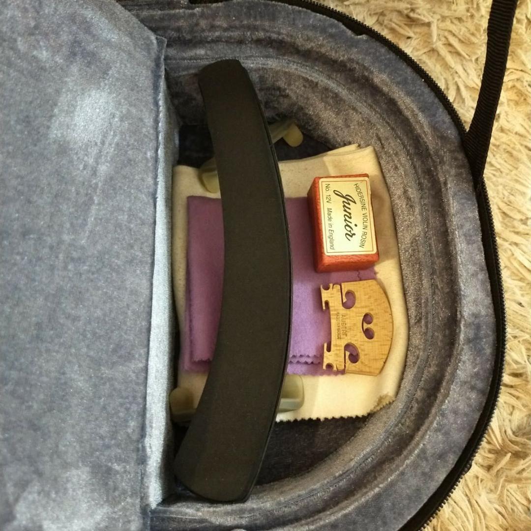 カルロジョルダーノ バイオリン VS-2 4/4　ケース付